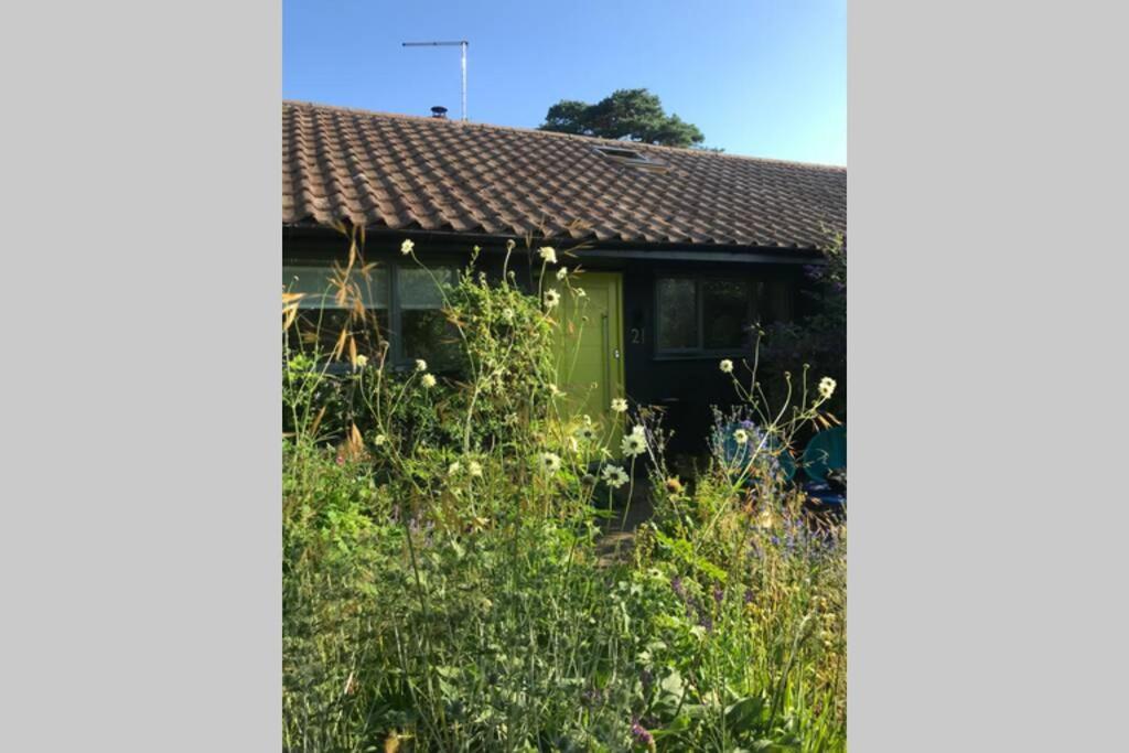 The Yellow Door Whitstable - Peaceful Retreat Close To Beach Exterior photo